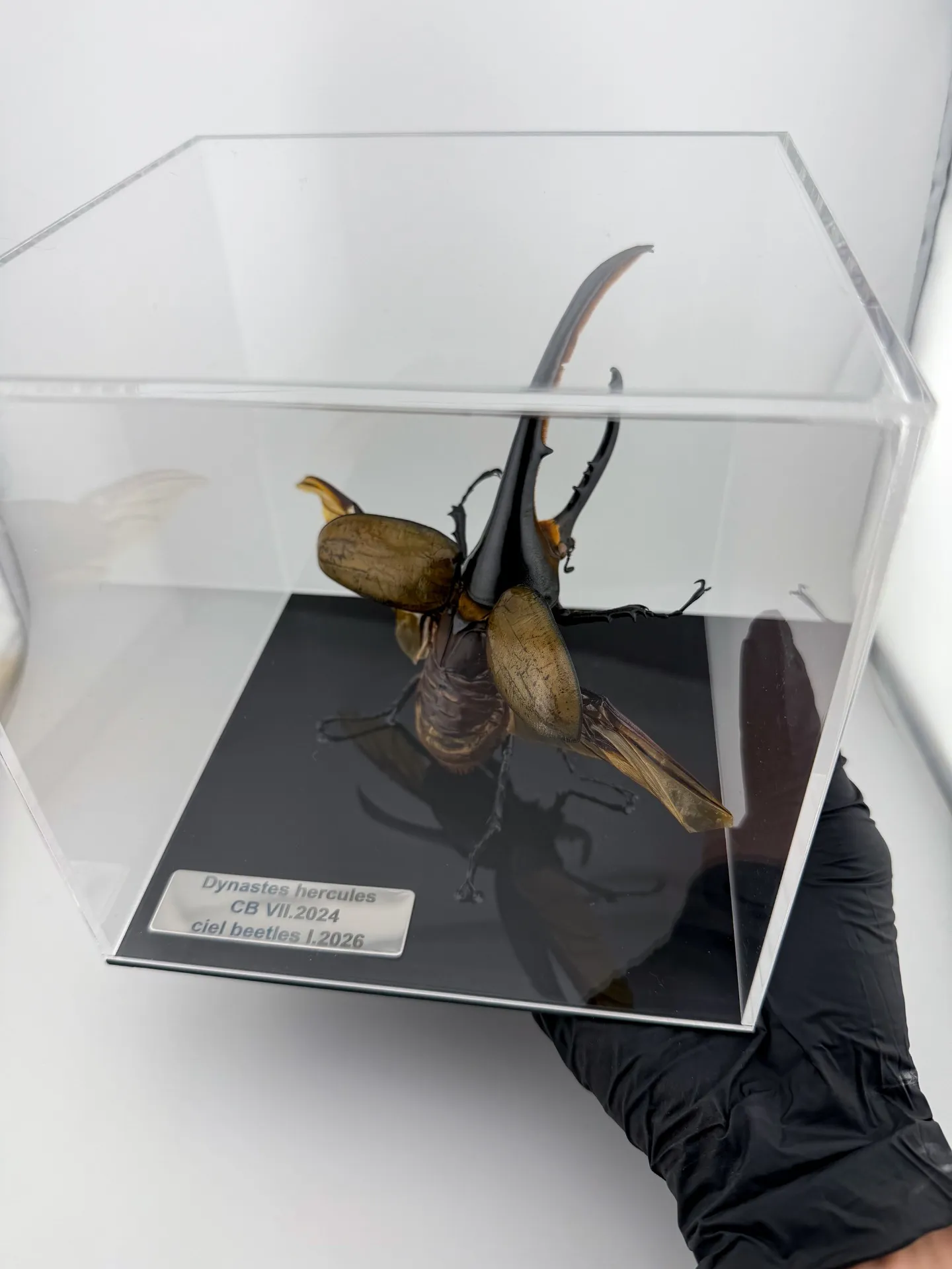 【M0107】オーダーメイドアクリルケース デザイン会社が製作する・美しい『アクリルディスプレイケース