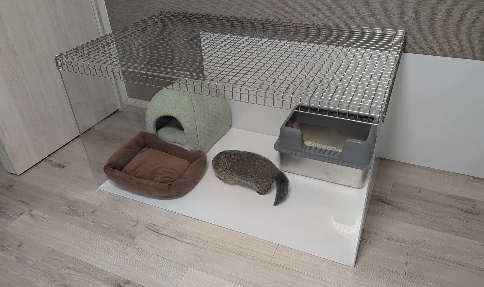 ペットと快適な生活を送るための製品